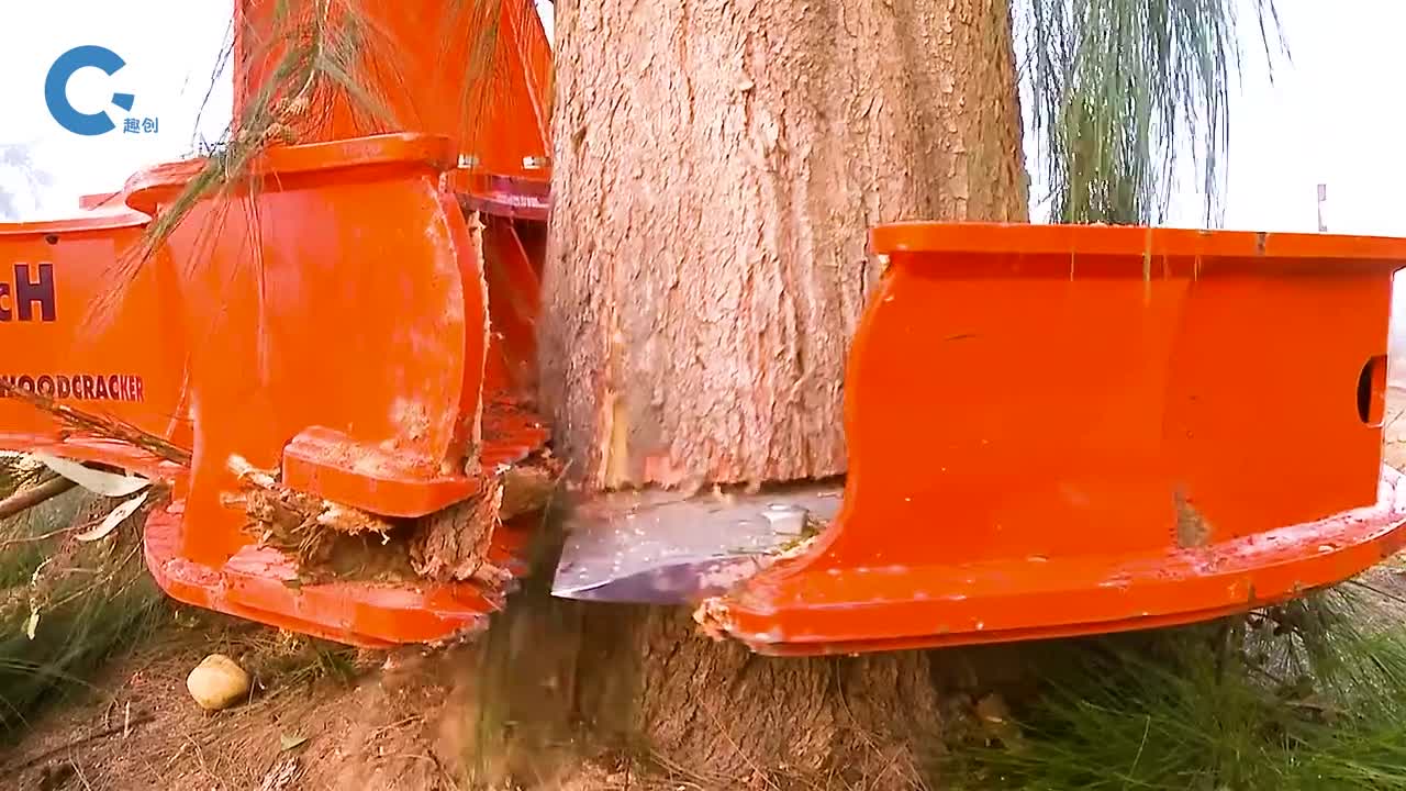 不可思议的剪树机抱紧大树释放刀片裁剪树木想剪哪里剪哪里