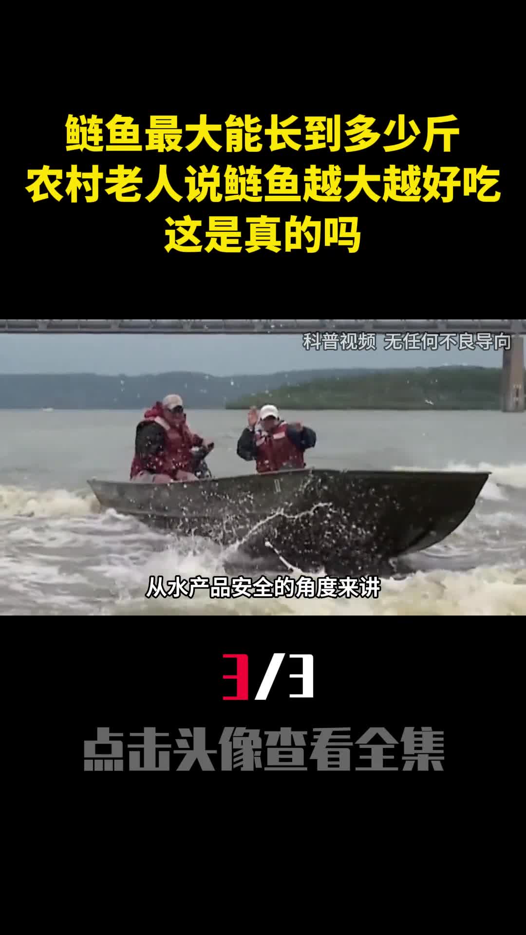 鲢鱼最大能长到多少斤农村老人说鲢鱼越大越好吃这是真的吗3