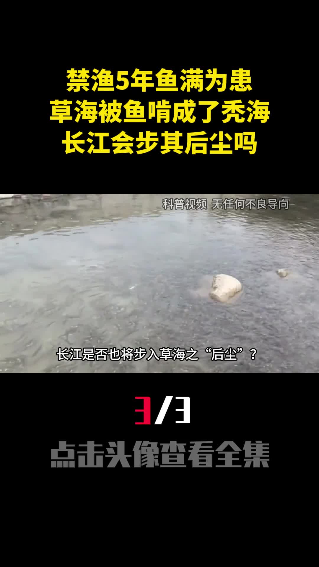 禁渔5年鱼满为患草海被鱼啃成了秃海长江会步其后尘吗3