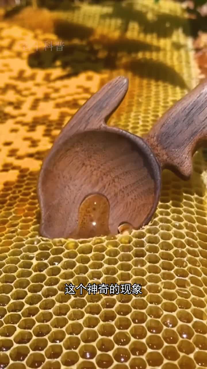 蜂巢为什么总是六边形呢