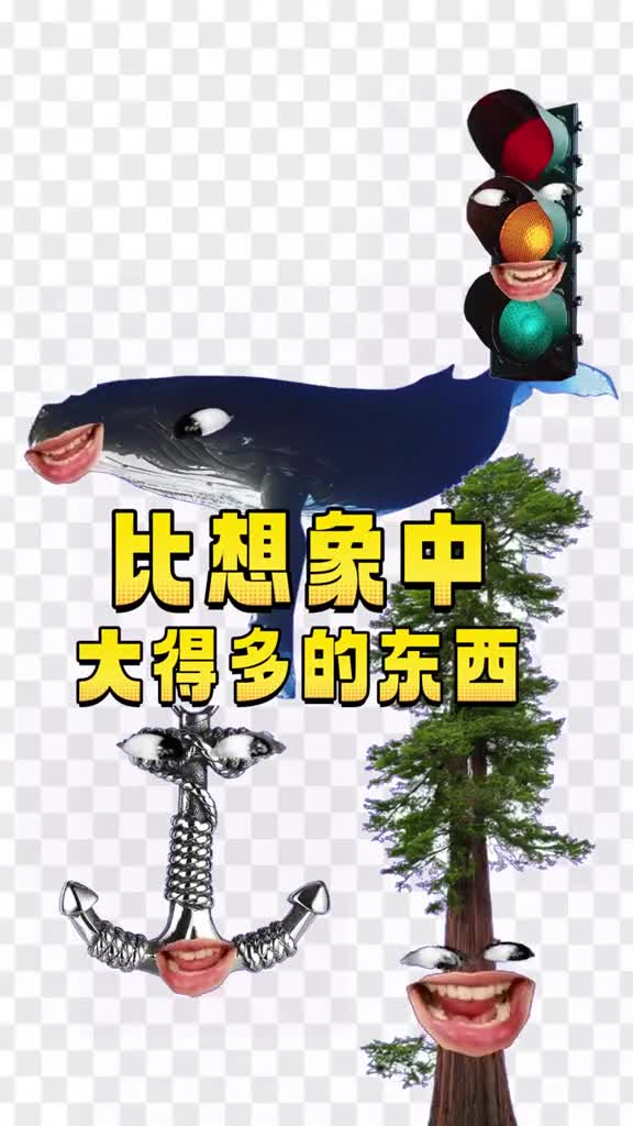 那些比你想象中要大很多的东西