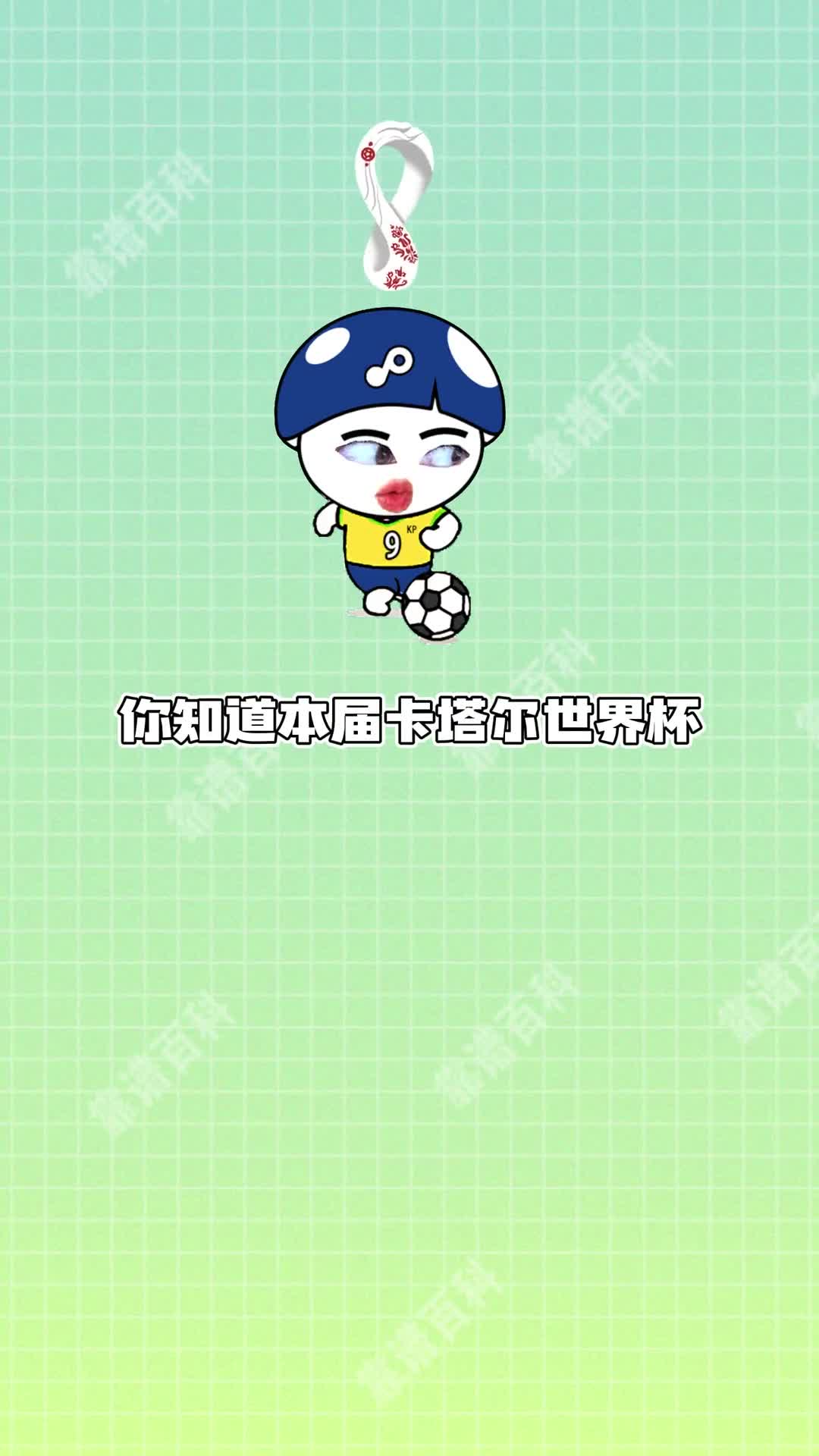 世界杯32强球队的外号你都知道吗14