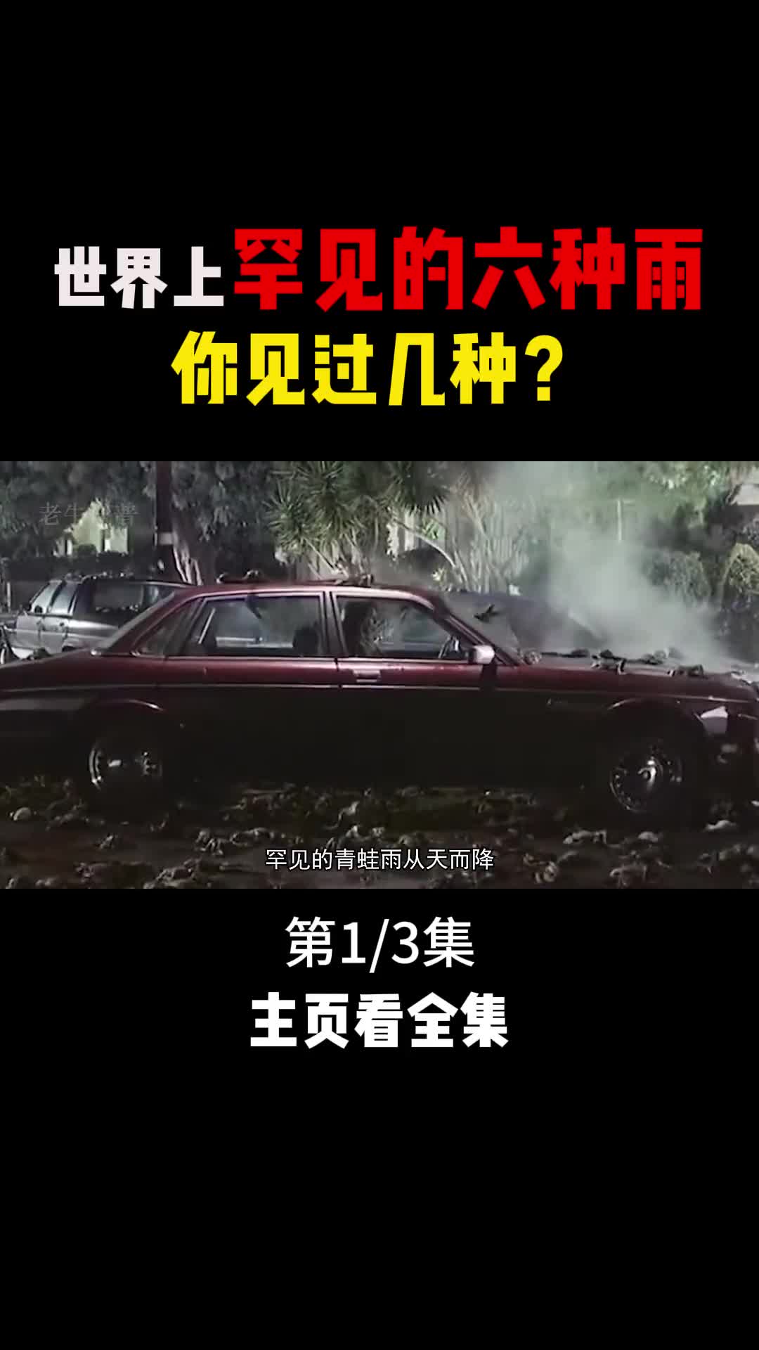 天上下青蛙下肉世界上罕见的六种雨你见过几种1