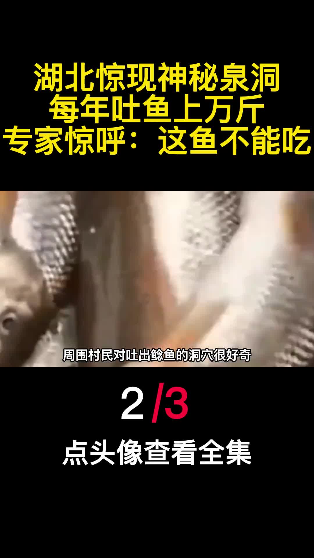 湖北惊现神秘泉洞每年吐鱼上万斤专家惊呼这鱼不能吃2