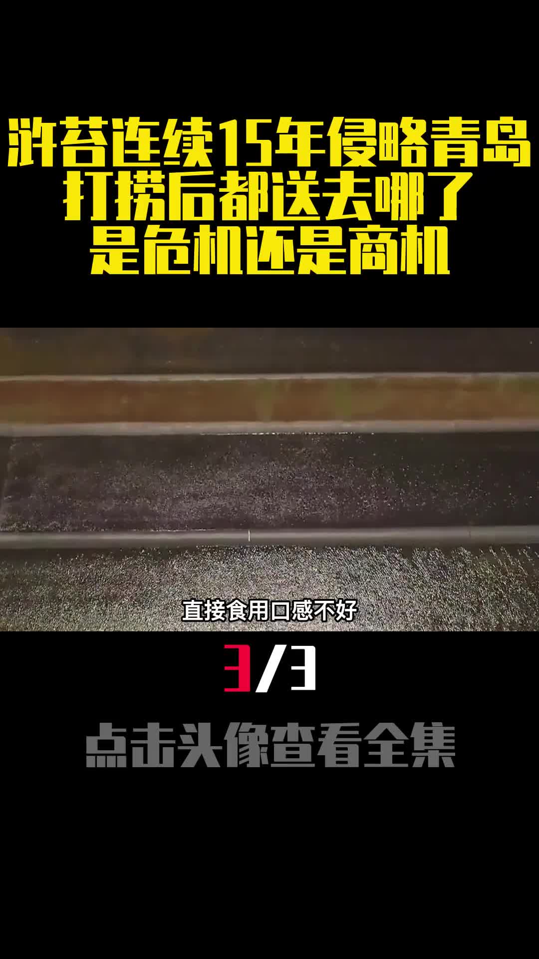 浒苔连续15年侵略青岛打捞后都送去哪了是危机还是商机3