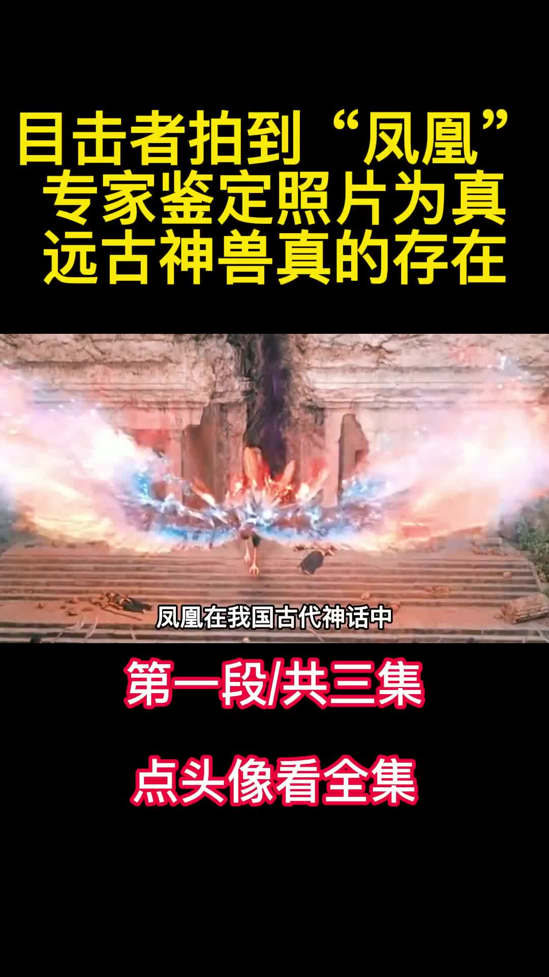 目击者拍到凤凰专家鉴定照片为真远古神兽真的存在1