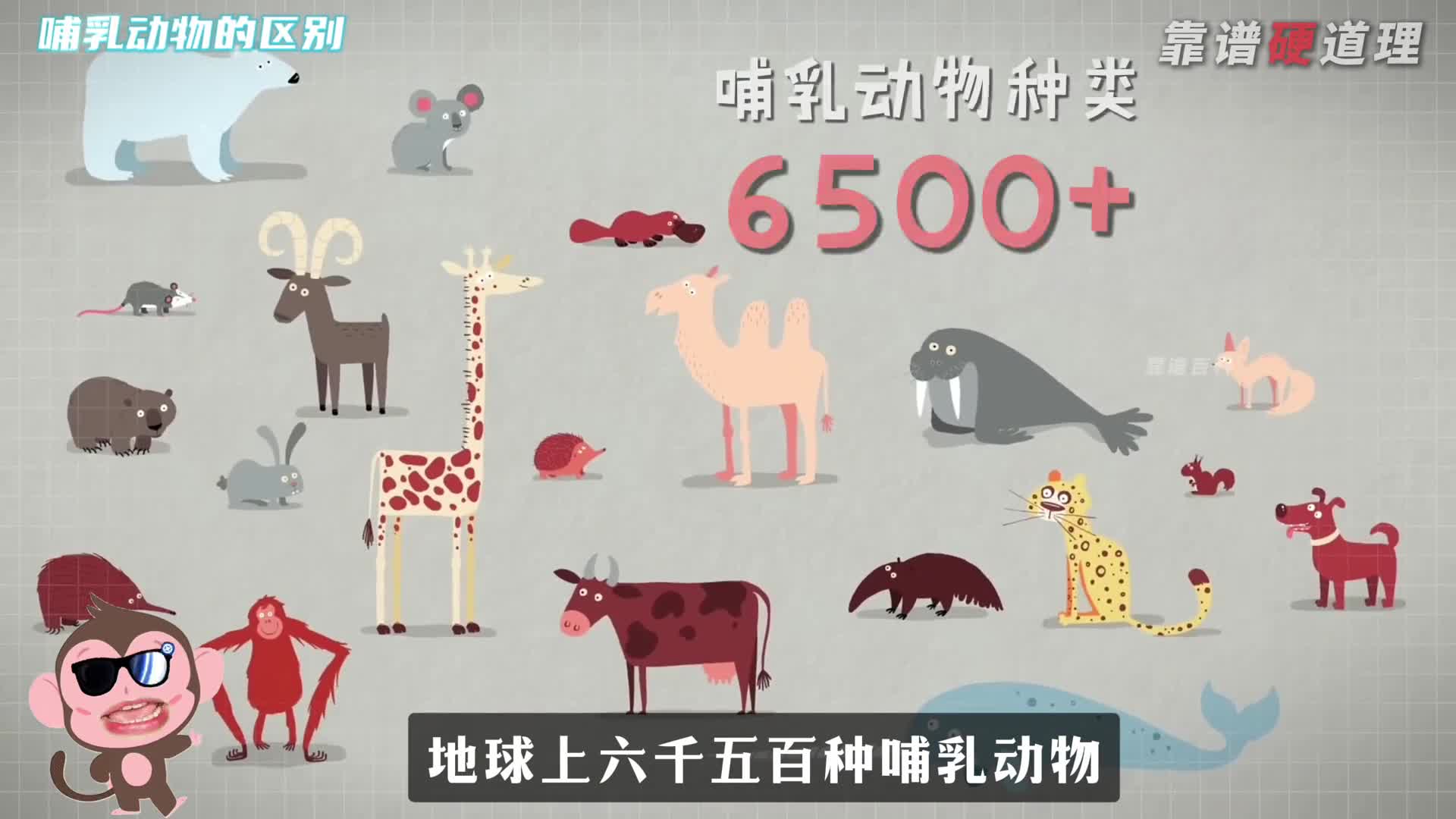 揭秘哺乳界妈妈们的三大生育流派可不是只有怀胎十月哦