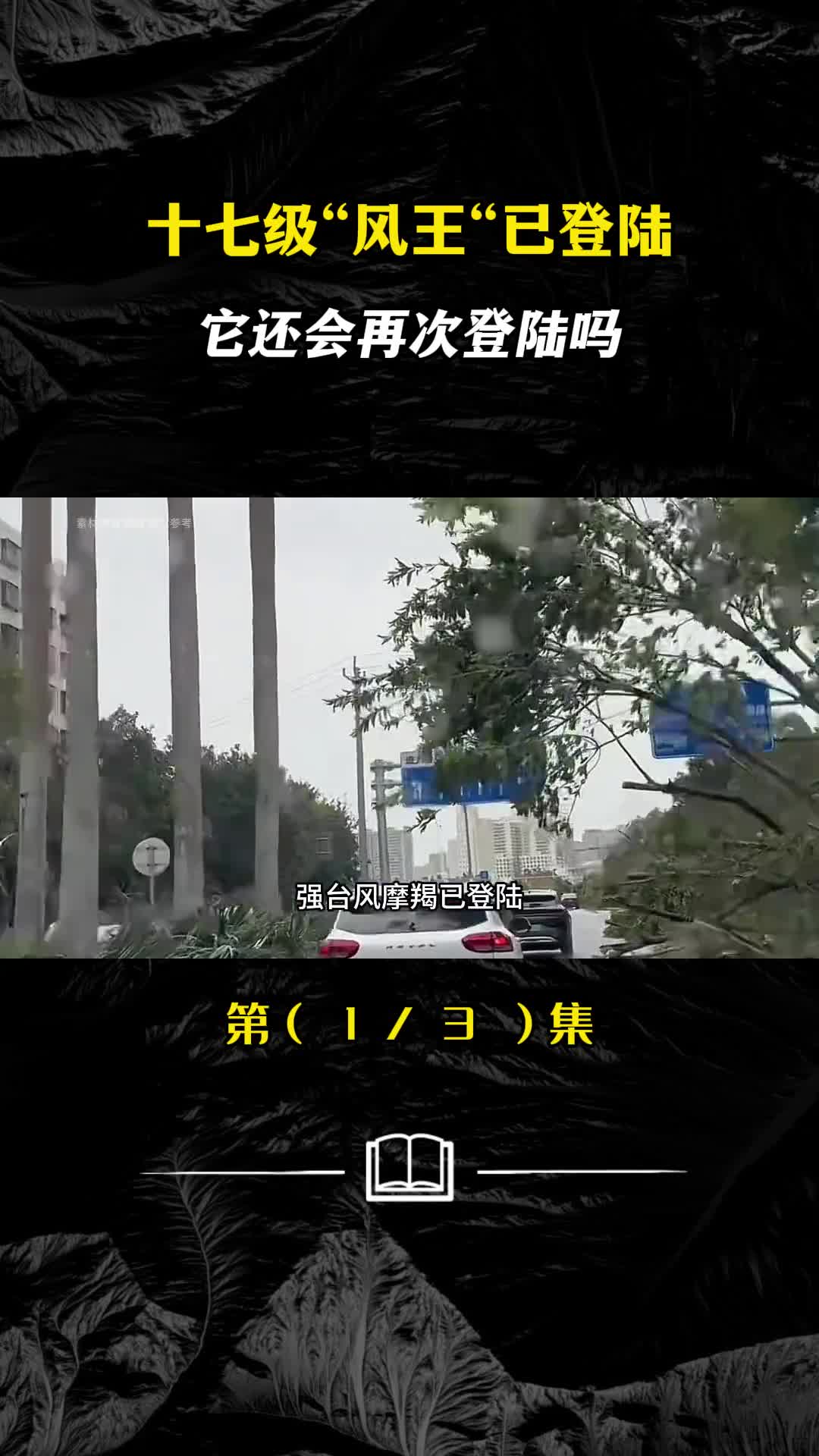 超强台风摩羯已登陆受扰地区一片狼藉