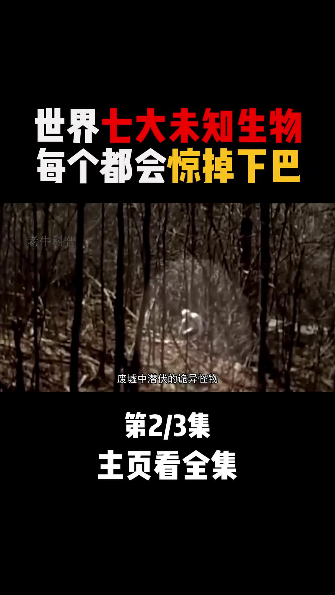 世界上七大未知生物2