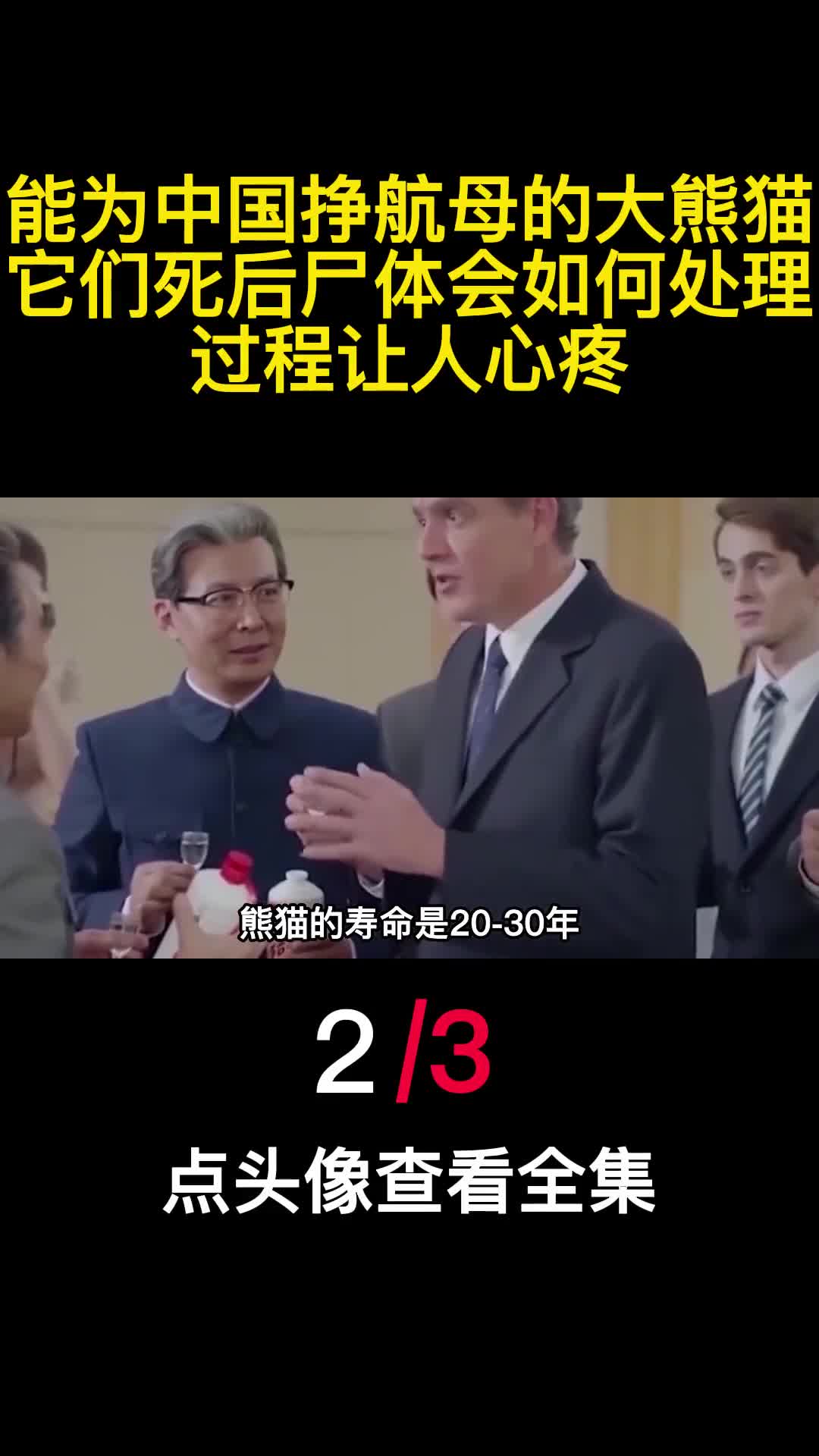 能为中国挣航母的大熊猫它们死后尸体会如何处理过程让人心疼2