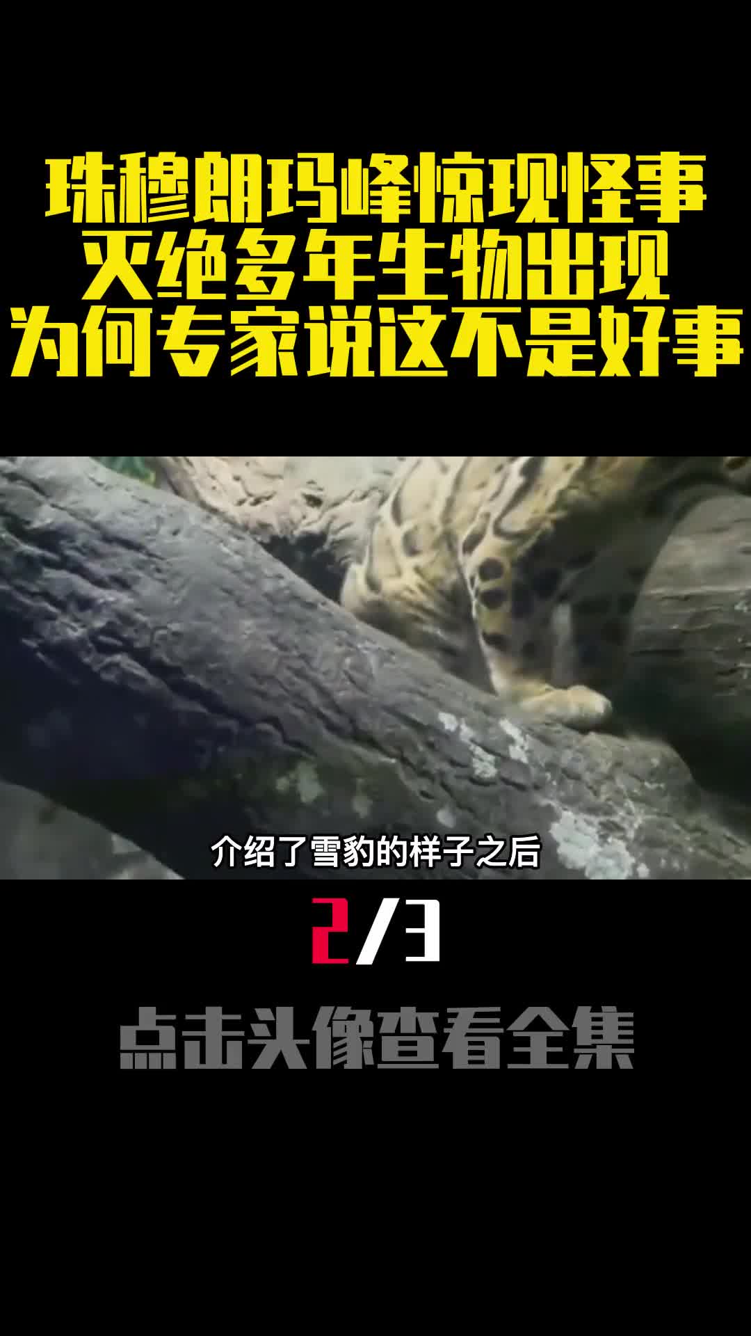 珠穆朗玛峰惊现怪事灭绝多年生物出现为何专家说这不是好事2