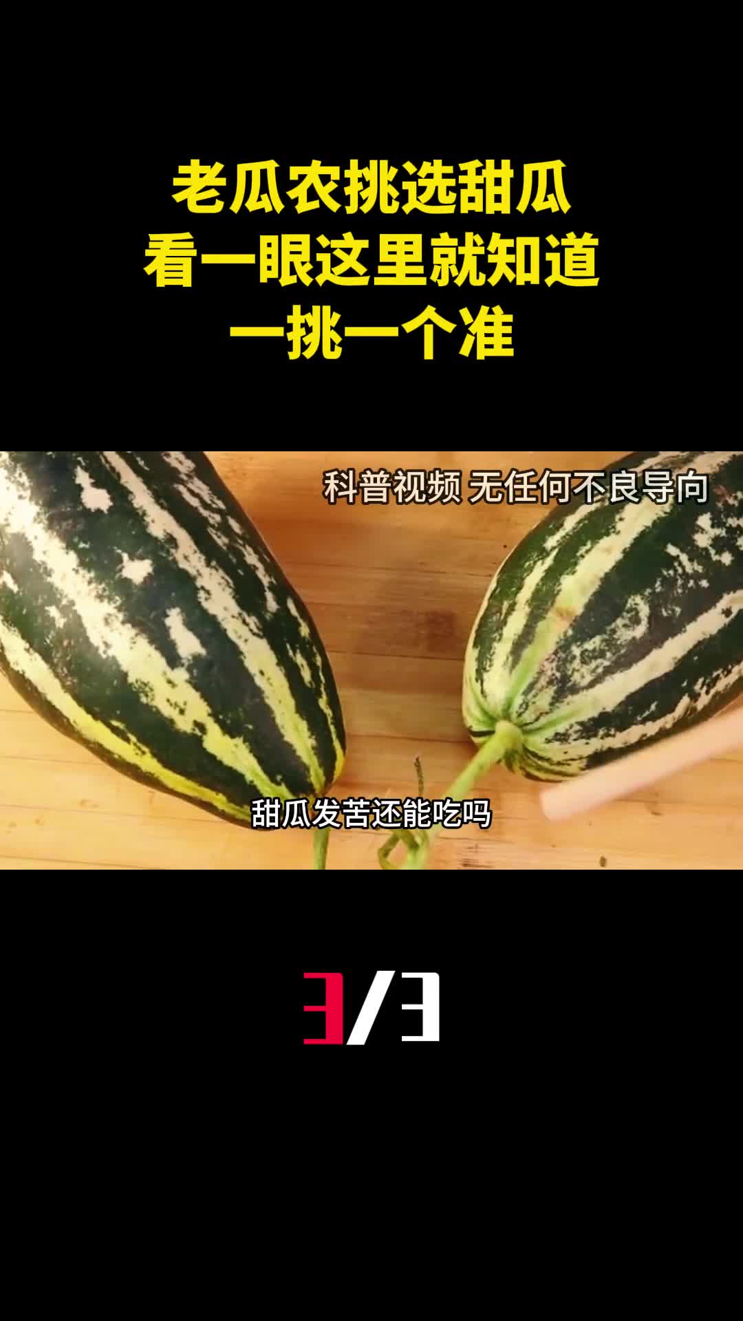 老瓜农挑选甜瓜的好方法甜不甜看一眼这里就知道一挑一个准3