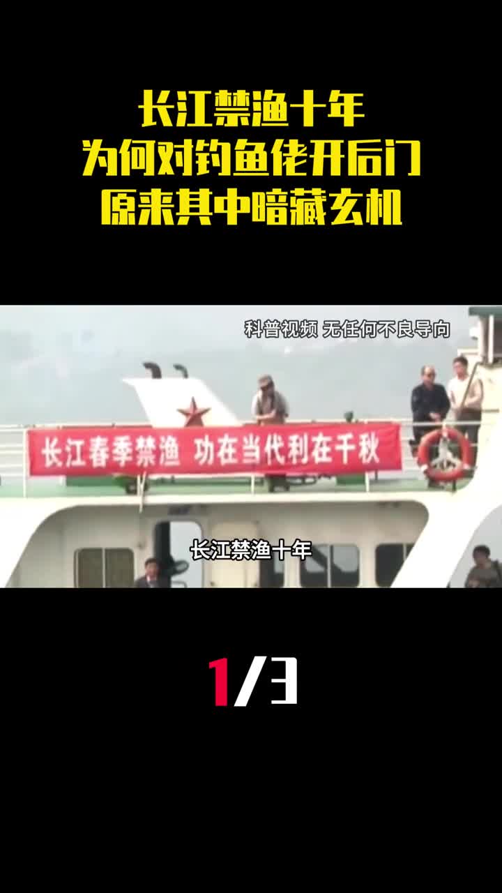长江禁渔十年为何对钓鱼佬开后门原来其中暗藏玄机1