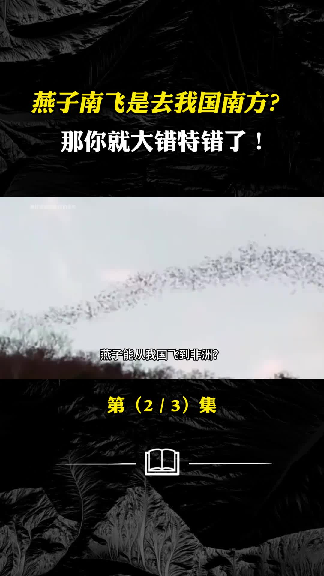 燕子南飞究竟是飞向哪了燕子能从我国飞到非洲吗