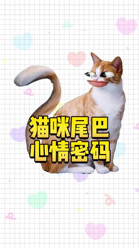 猫咪的尾巴竟然藏着这些心情小秘密