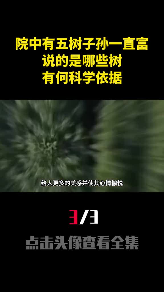 老话院中有五树子孙一直富说的是哪些树有何科学依据3