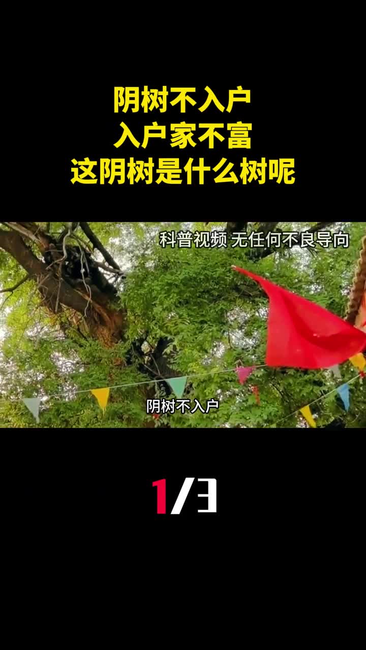 阴树不入户入户家不富这阴树是什么树呢看看你家有没有1