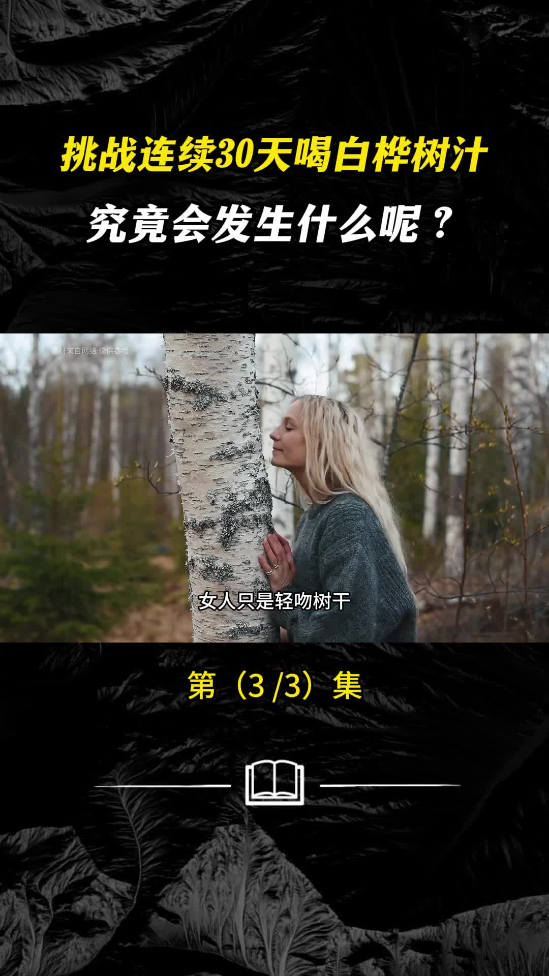 白桦树汁究竟有什么魅力天然酿就的液体黄金