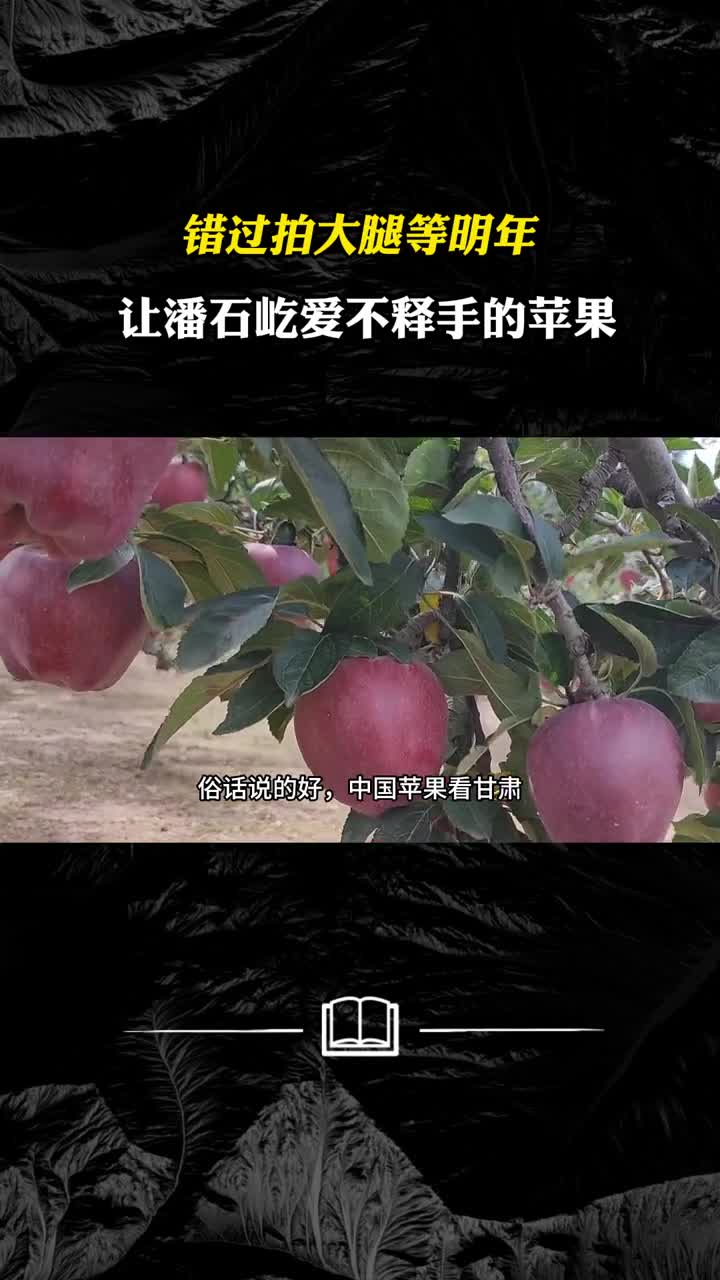 错过拍大腿等明年让潘石屹爱不释手的苹果