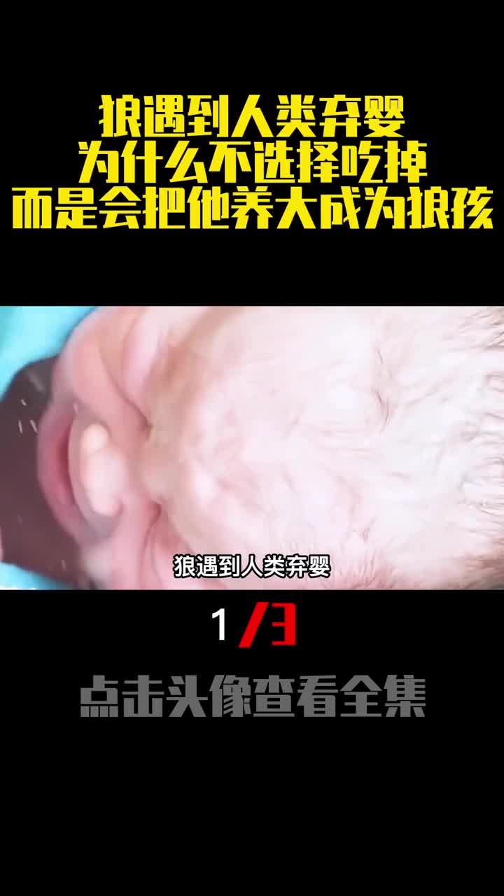 狼遇到人类弃婴为什么不选择吃掉而是会把他养大成为狼孩1