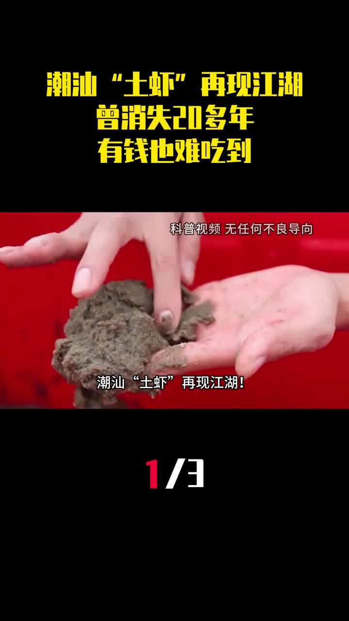 潮汕土虾再现江湖曾消失20多年成了有钱也难吃到的美食1