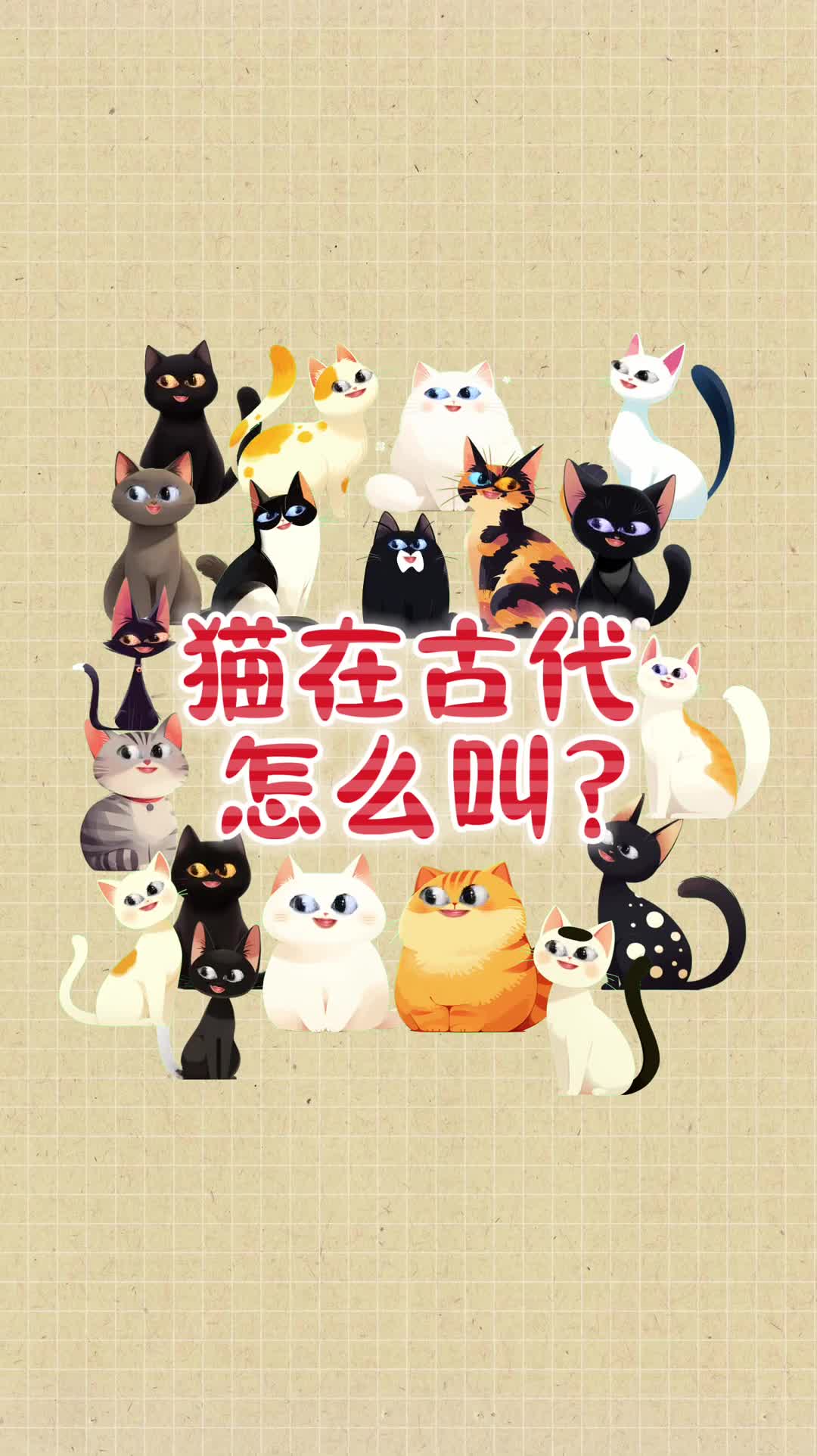 别再把猫叫咪咪了学学古人对猫的雅称吧