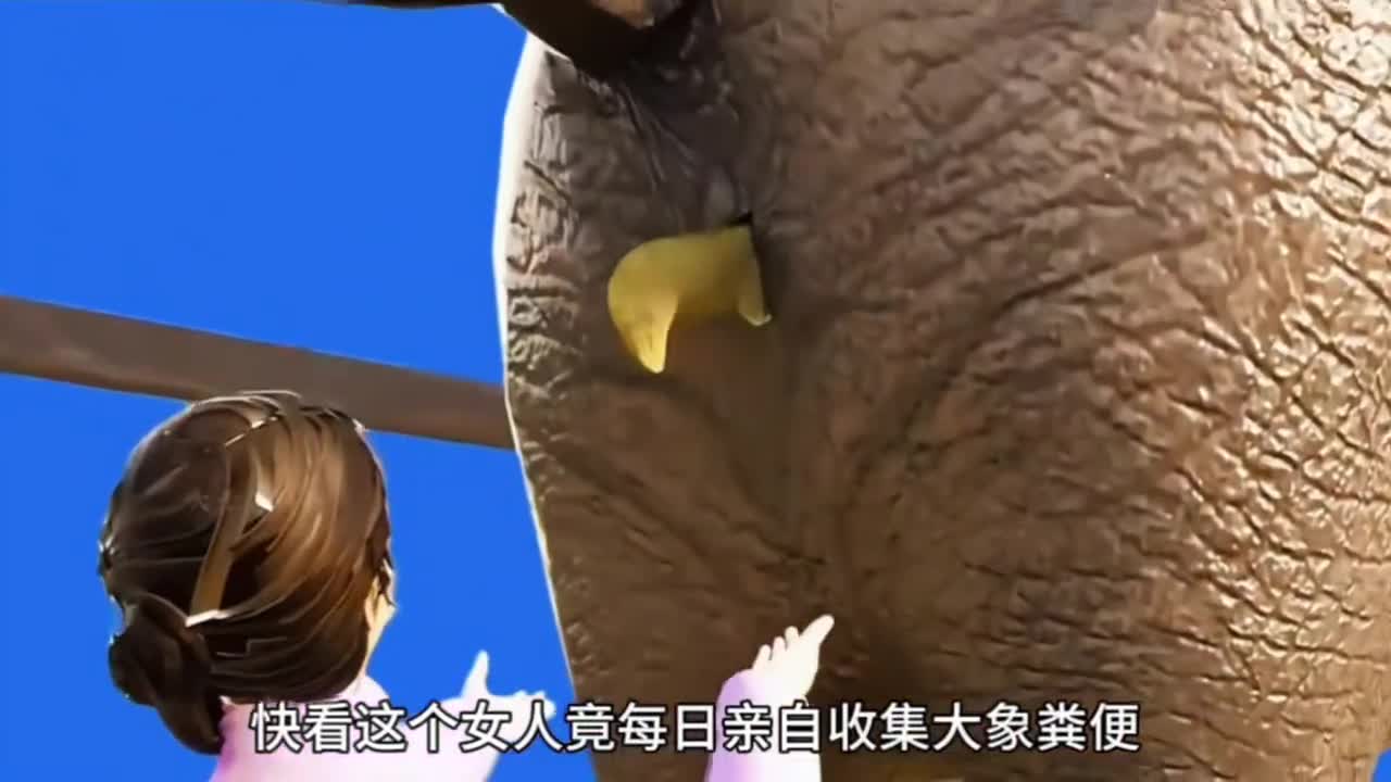 象屎咖啡是如何制作的象屎咖啡是如何制作的