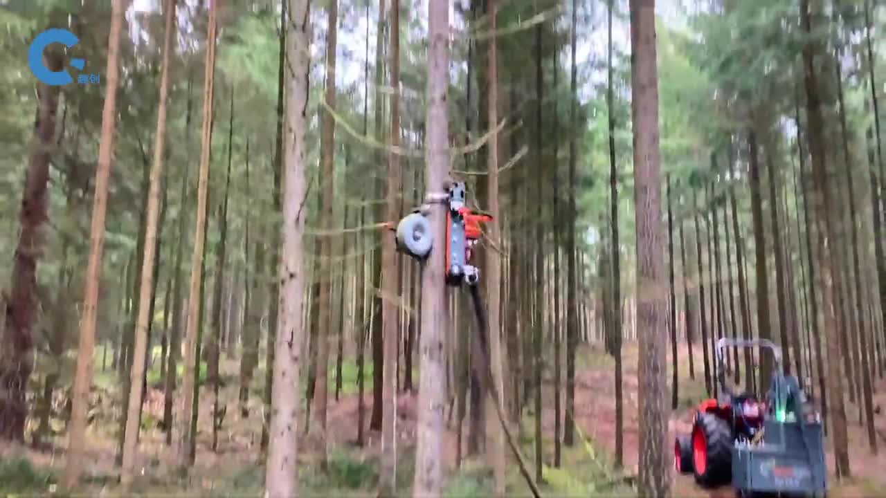 不可思议的树枝修剪机抱住大树迅速向上爬升