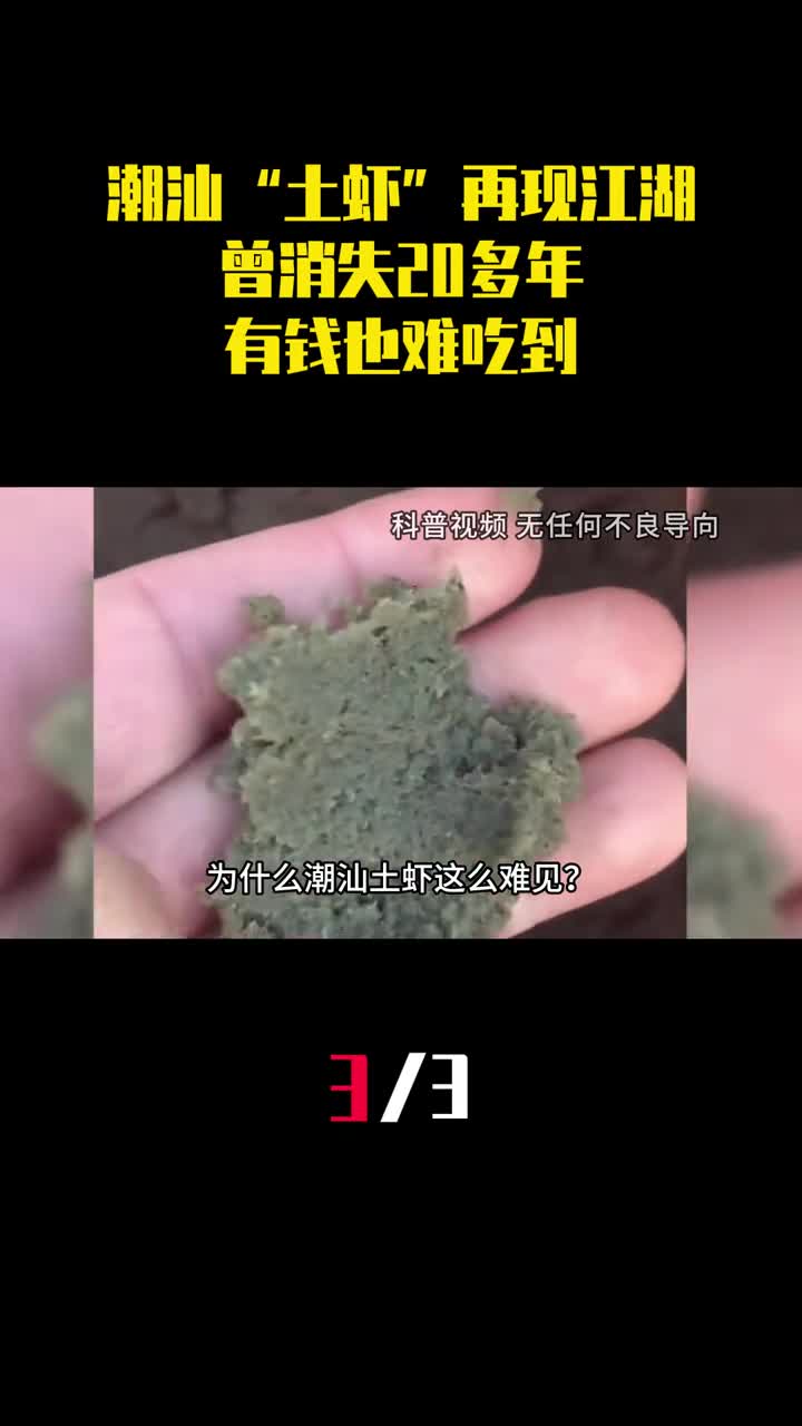 潮汕土虾再现江湖曾消失20多年成了有钱也难吃到的美食3