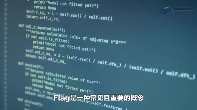深入探究python中的flag用法及其在应用开发中的重要性