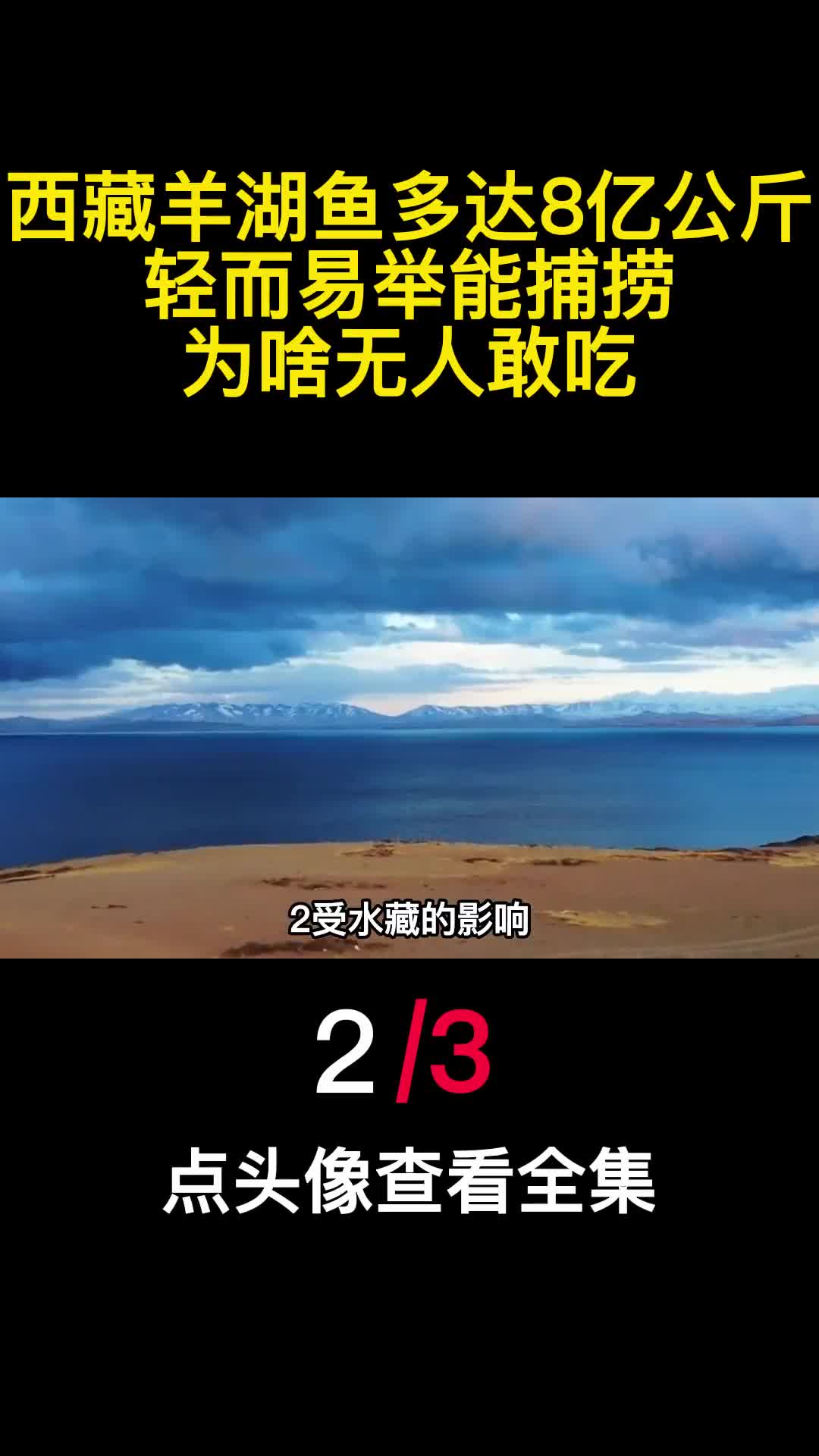 西藏羊湖鱼多大8亿公斤轻而易举能捕捞为啥无人敢吃2