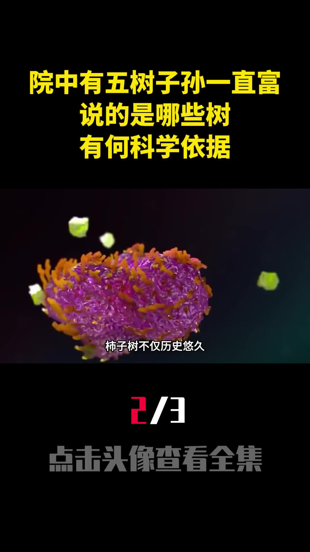 老话院中有五树子孙一直富说的是哪些树有何科学依据2