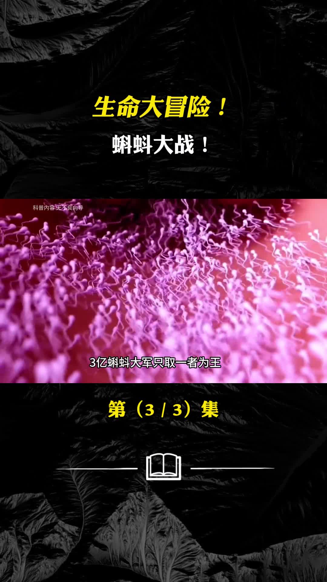 蝌蚪角逐大战生命大冒险行动你是如何来到这个世界