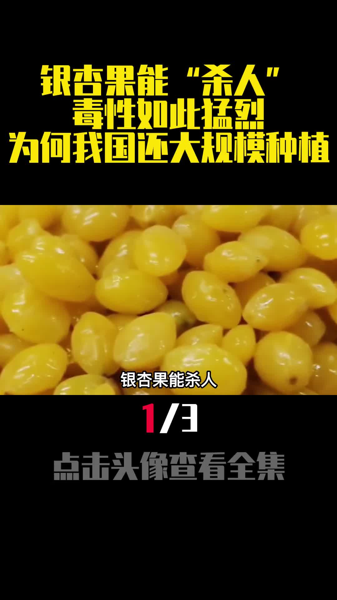 银杏果能杀人毒性如此猛烈为何我国还大规模种植1