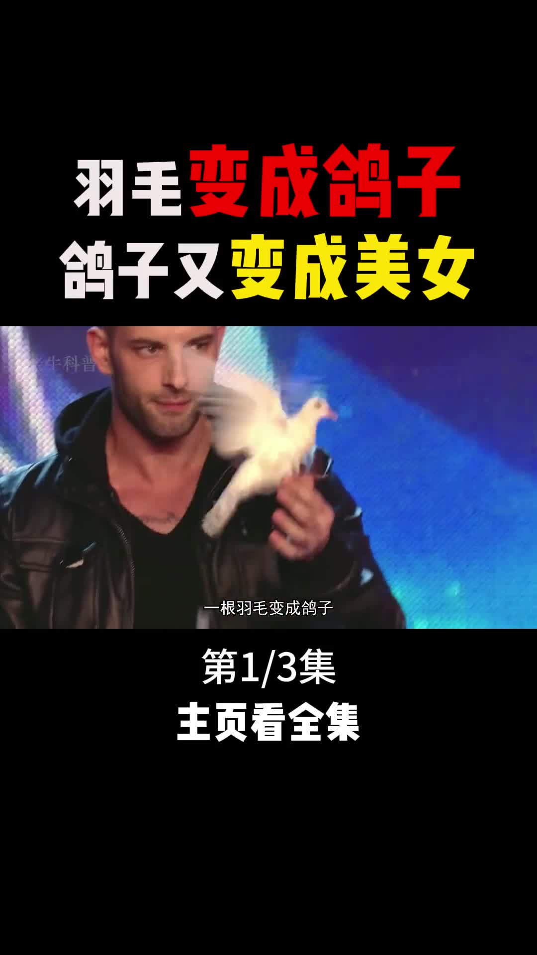 羽毛变成鸽子鸽子变成美女揭秘不可思议的魔术1