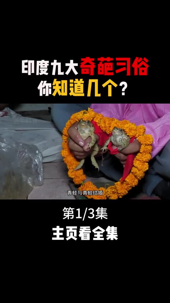 印度九大奇葩习俗青蛙与青蛙结婚人与狗结婚每一种都会颠覆你的认知1