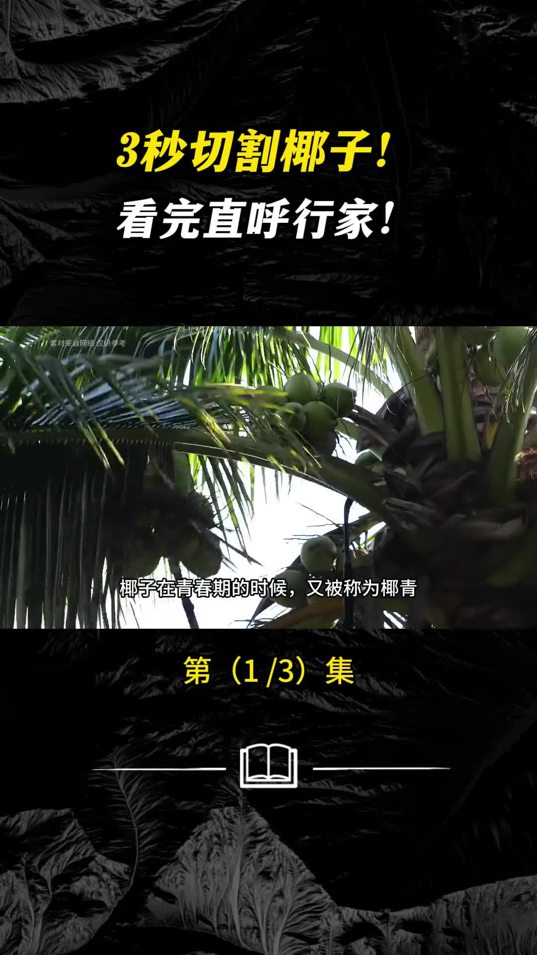 夏天的椰汁究竟有什么魔力天然的夏日最佳拍档