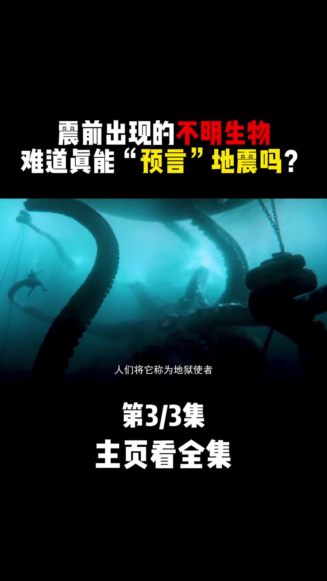 海底巨怪现身沙滩专家发现后大吃一惊3
