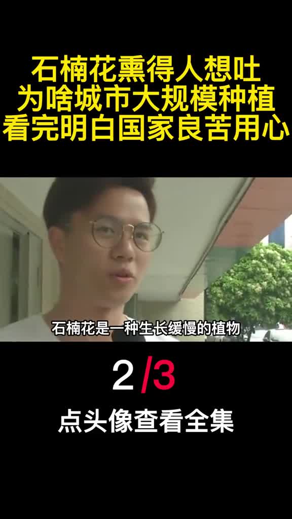 石楠花熏得人想吐为啥城市大规模种植看完明白国家良苦用心2