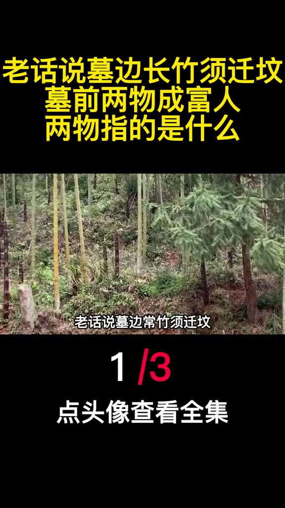 老话说墓边长竹须迁坟墓前两物成富人两物指的是什么1