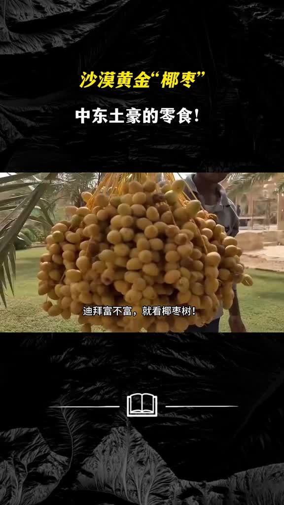 沙漠黄金椰枣中东土豪的零食