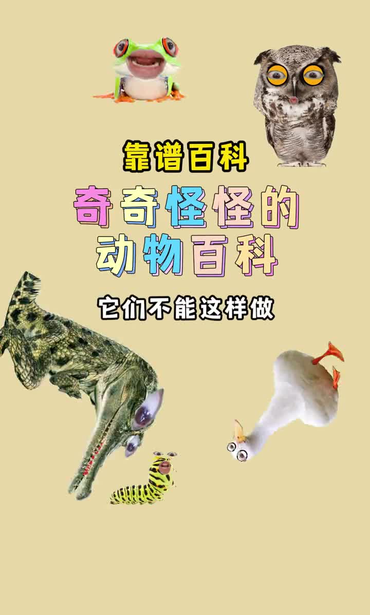 奇怪的动物冷知识2