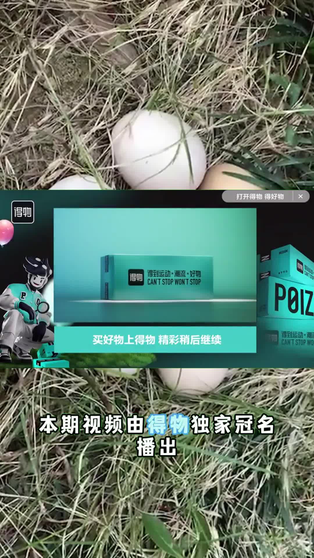 营养价值相当丰富为什么吃鹅蛋的人很少卖鹅蛋的也少2