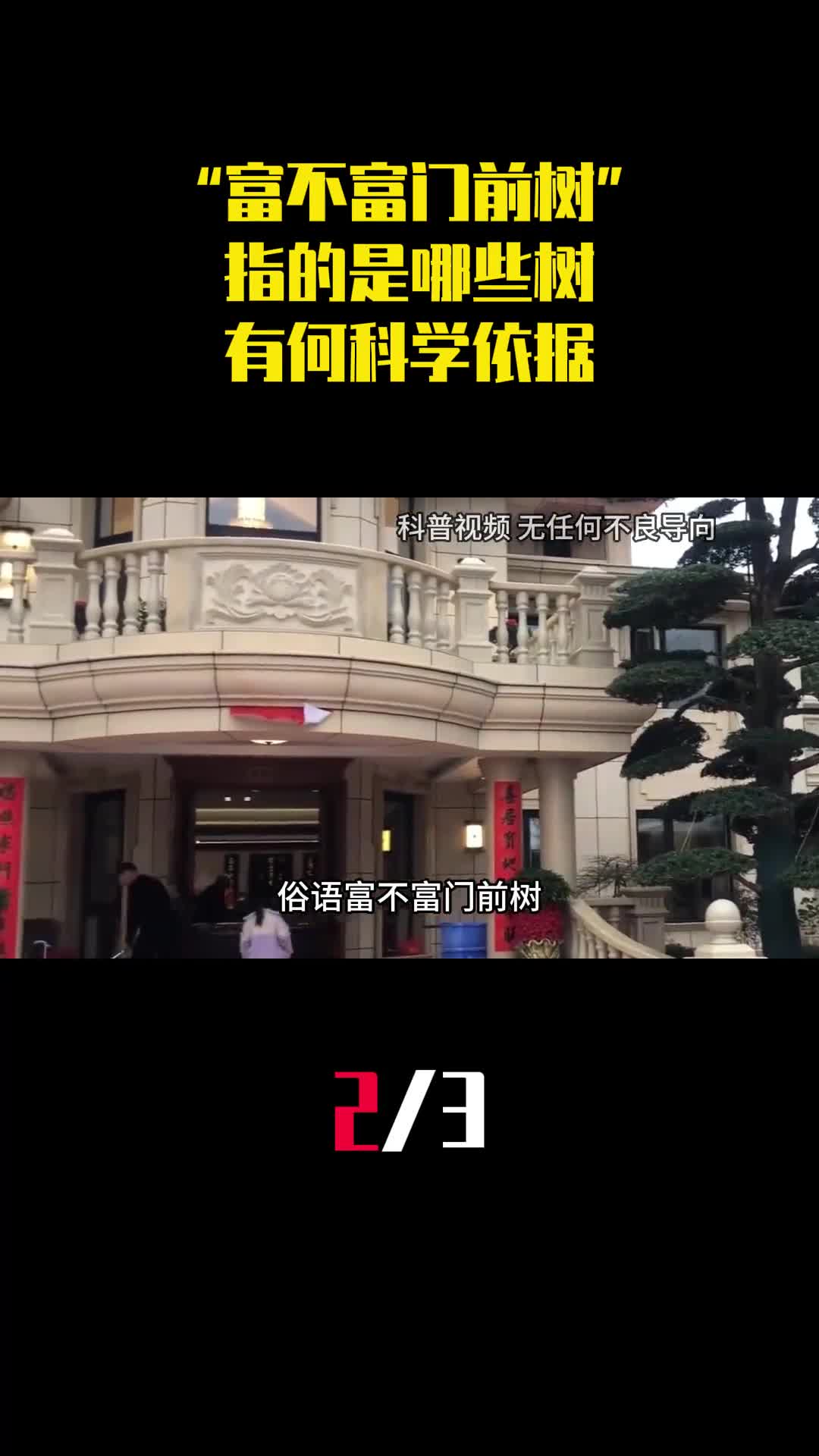 老话说富不富门前树指的是哪些树有何科学依据2