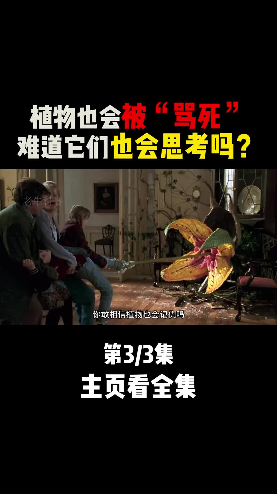 会思考还记仇的植物们原来植物也会被语言暴力骂死