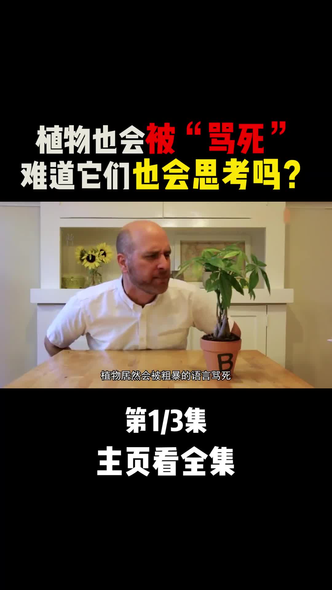 会思考还记仇的植物们原来植物也会被语言暴力骂死