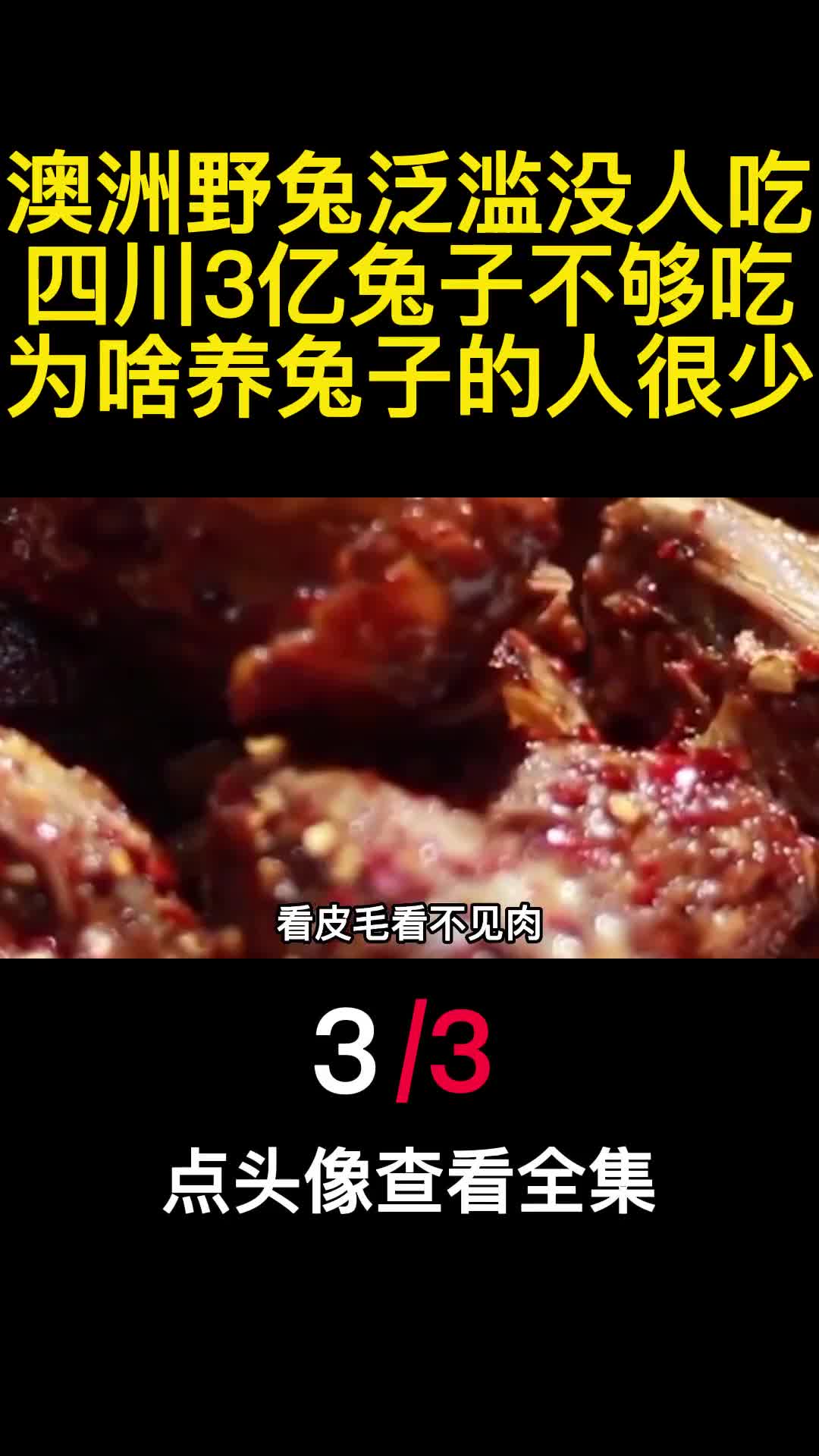 澳洲野兔泛滥没人吃四川3亿兔子不够吃为啥养兔子的人很少3