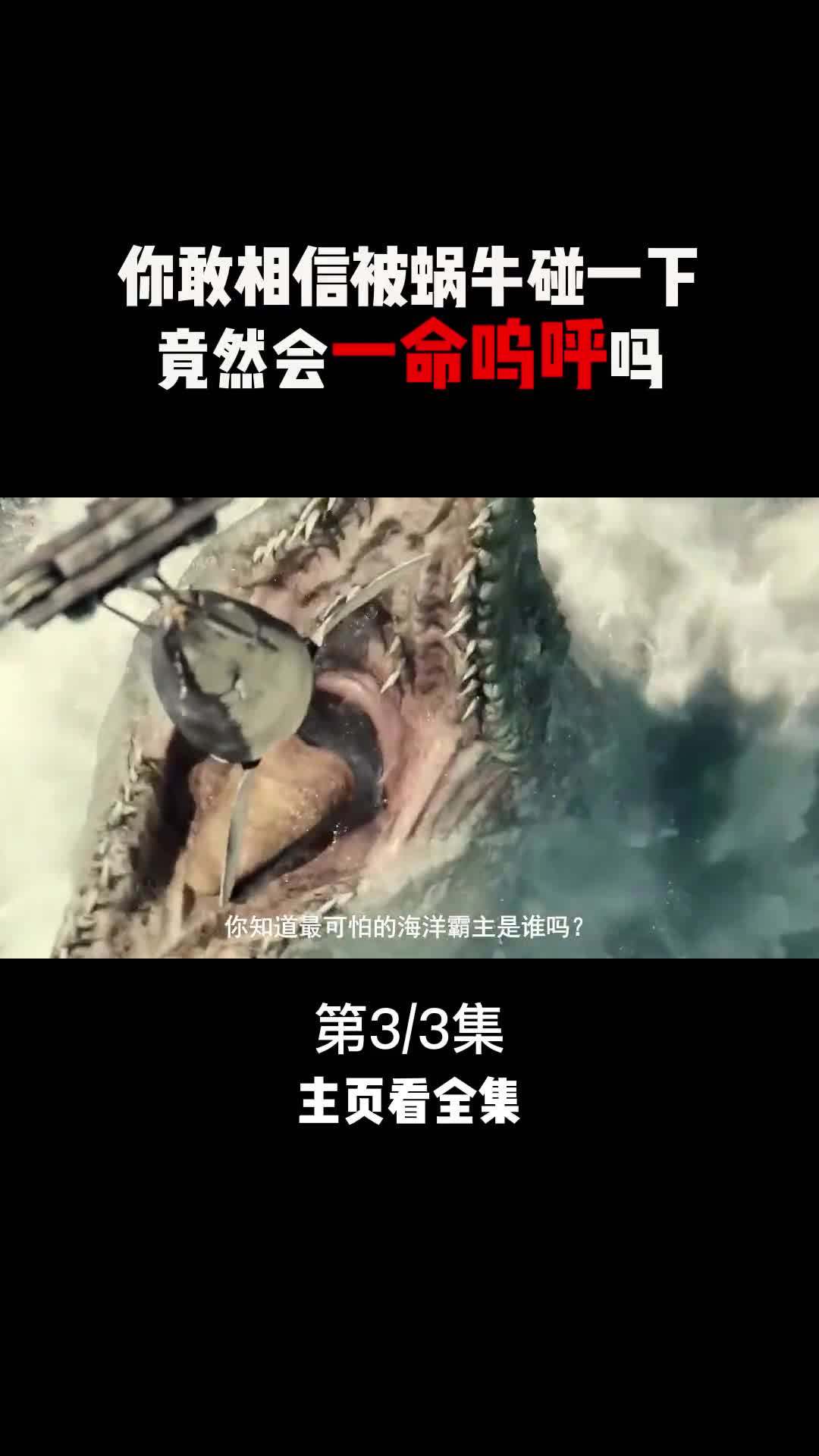 这种海洋生物只要碰你一下后果不堪设想看见它一定要赶紧撤