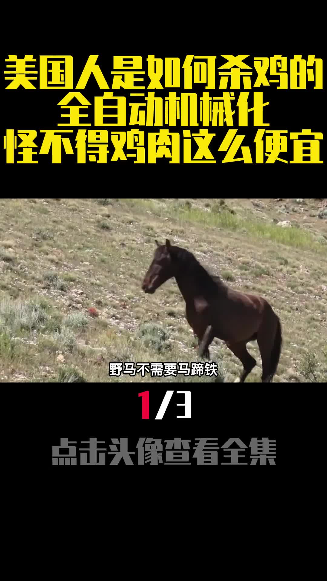 野马不需要马蹄铁为何家马却离不开马蹄铁究竟有啥用呢1