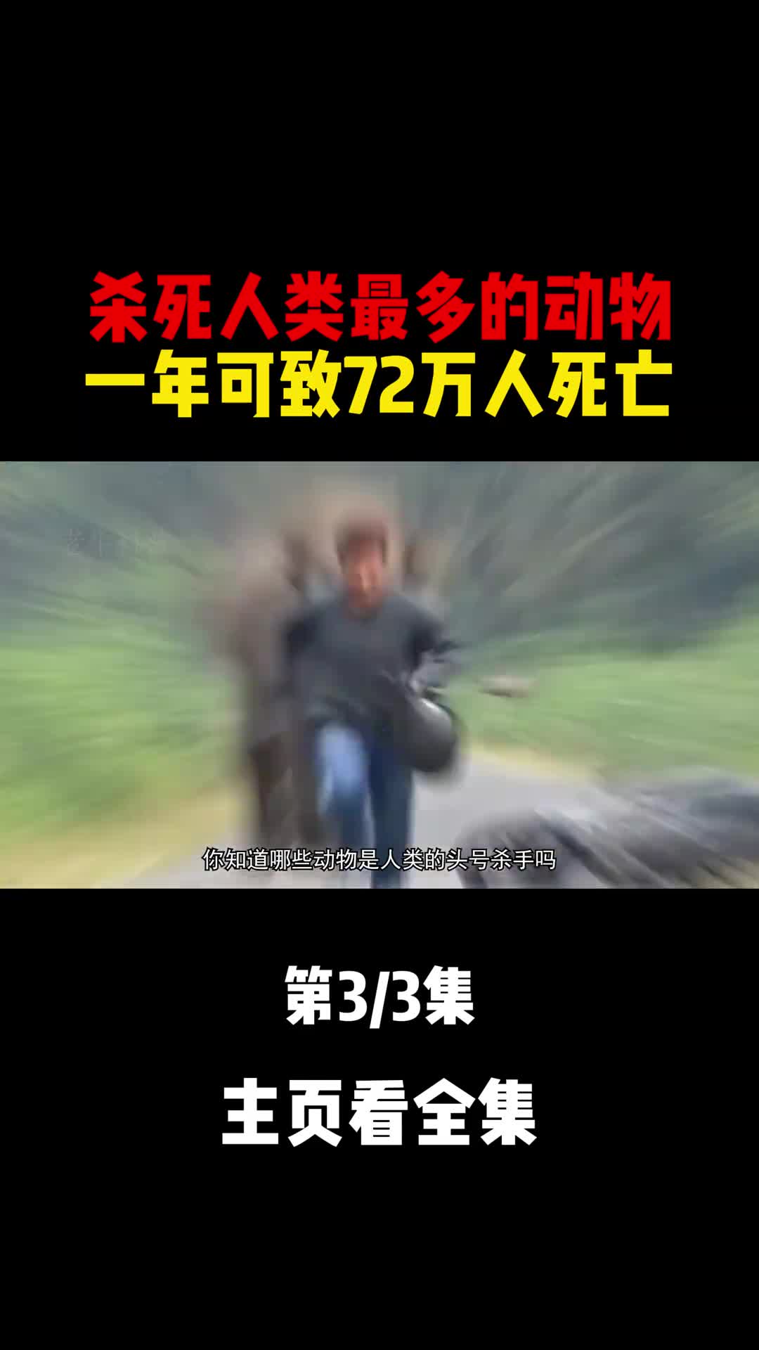 每年约有120万人死于动物之手我们不得不提高警惕远离危险